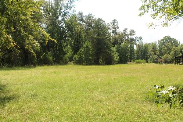 33 Acres of Recreational & Residential Land for Sale in Delight, Arkansas