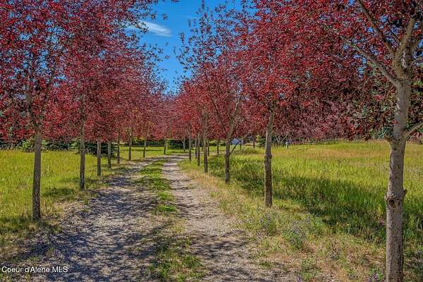 0.8 Acres of Residential Land for Sale in Moyie Springs, Idaho