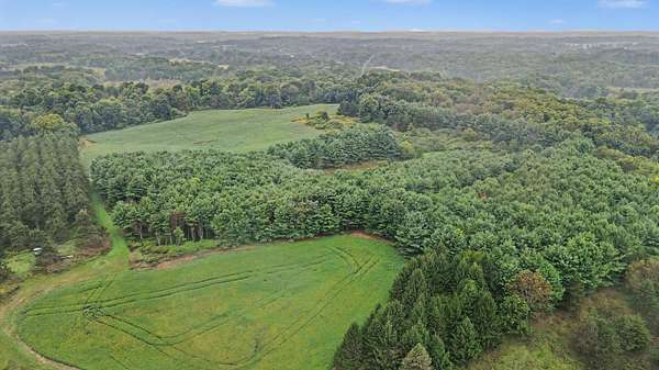 77 Acres of Agricultural & Residential Land for Sale in Bellevue, Michigan