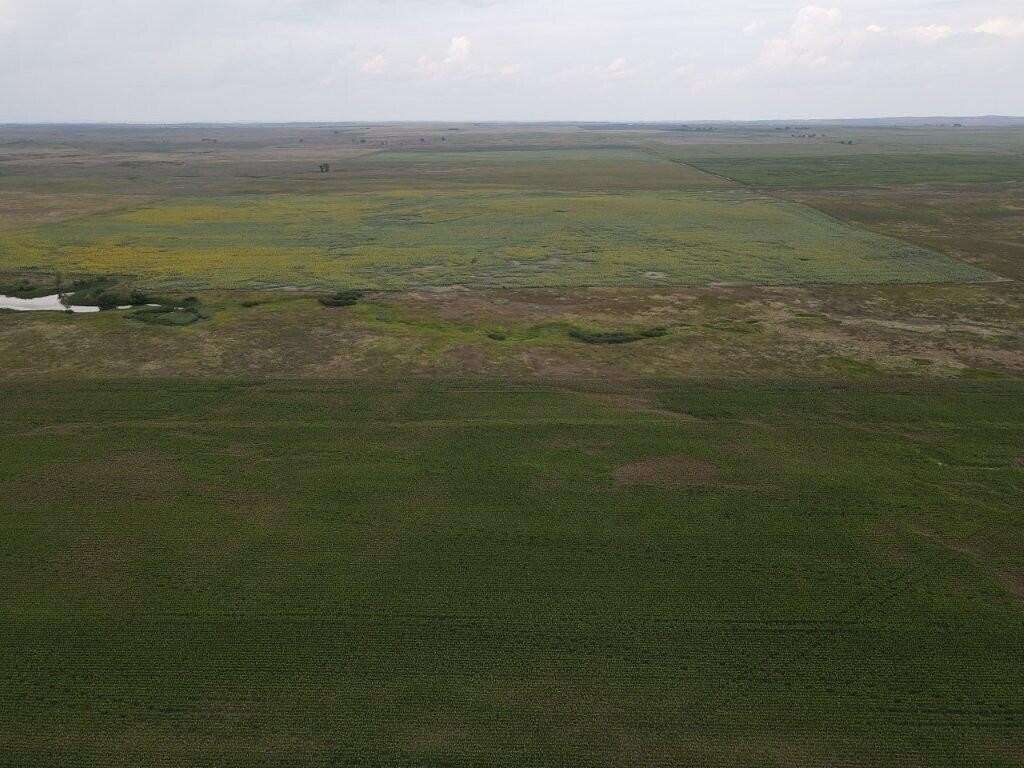 Residential Land for Auction in Watauga, South Dakota