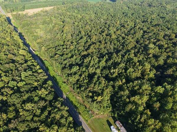 1.44 Acres of Residential Land for Sale in Loris, South Carolina