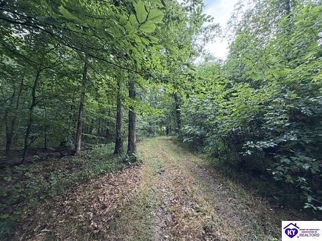 41.8 Acres of Recreational Land for Sale in Eastview, Kentucky