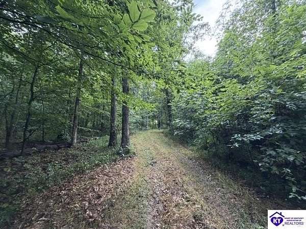 41.8 Acres of Recreational Land for Sale in Eastview, Kentucky