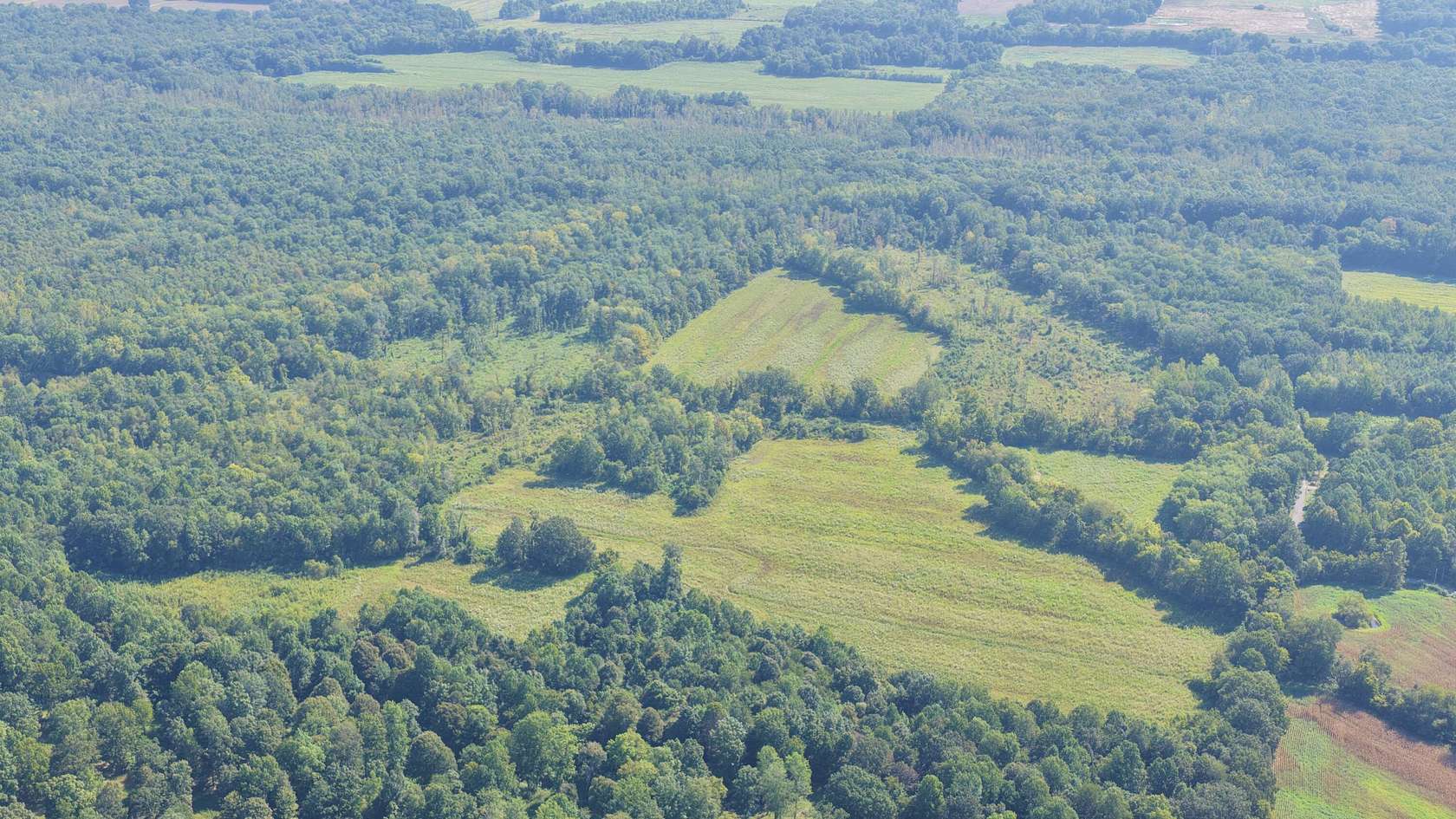 100 Acres of Recreational Land for Sale in Benton, Kentucky