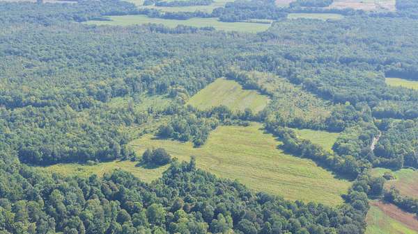 100 Acres of Recreational Land for Sale in Benton, Kentucky