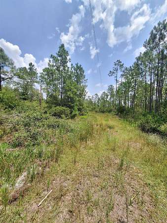 15.3 Acres of Recreational & Residential Land for Sale in Perry, Florida