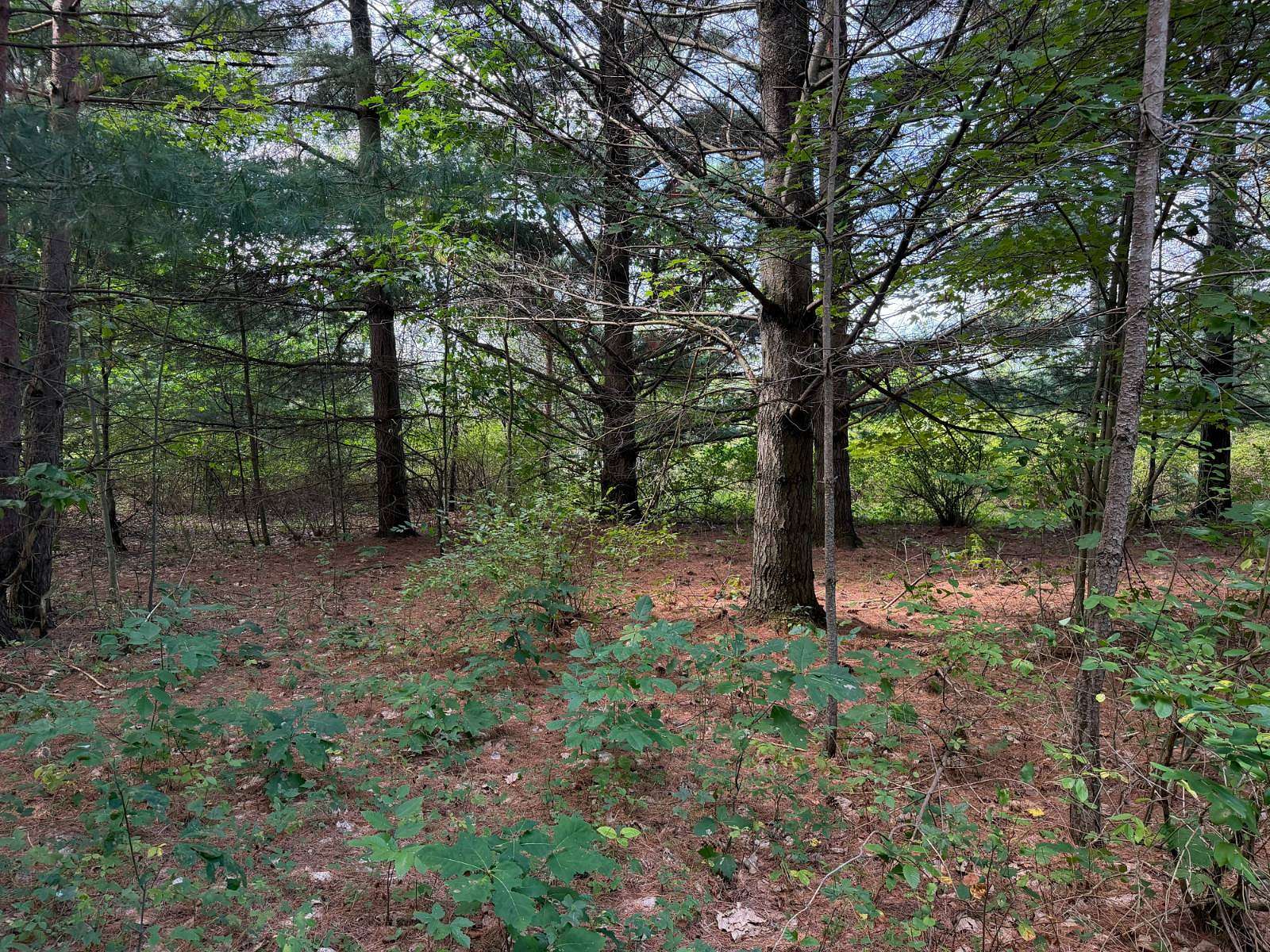 1 Acre of Residential Land for Sale in Glenfield, New York
