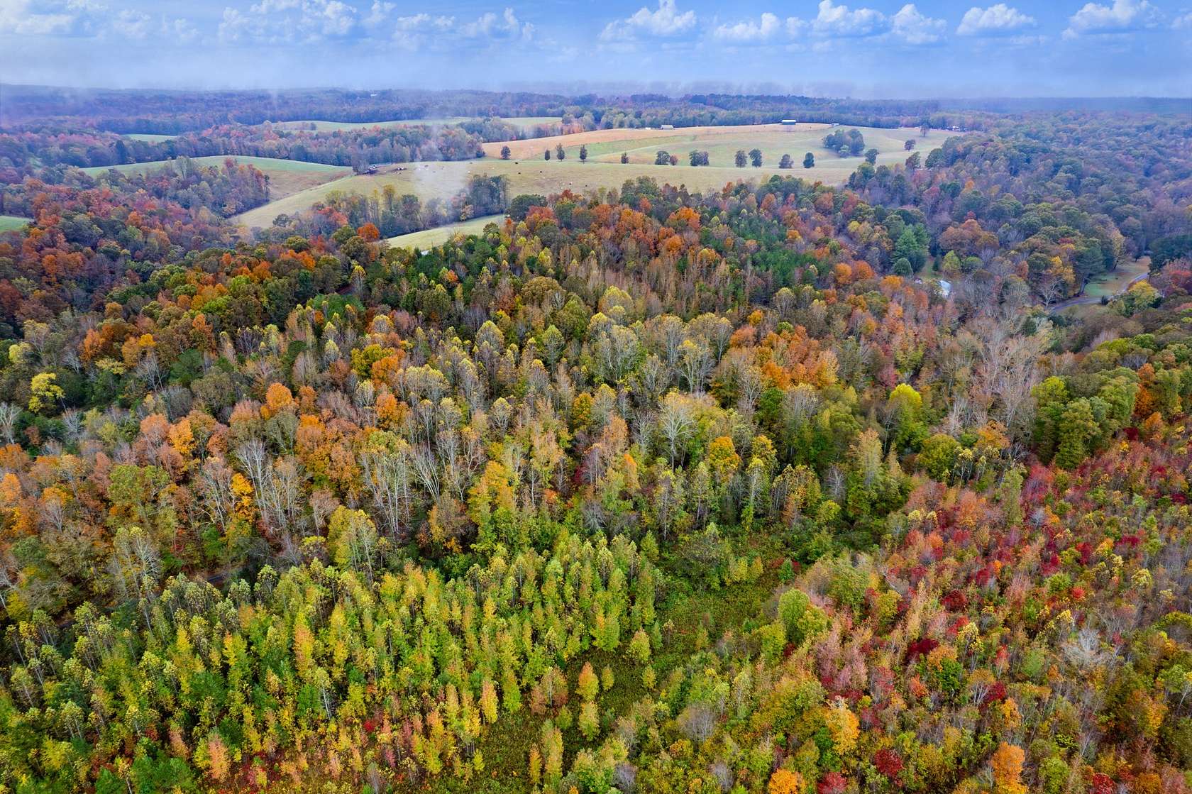 12.5 Acres of Recreational & Residential Land for Sale in Iron City, Tennessee