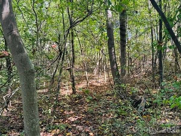 0.94 Acres of Residential Land for Sale in Asheville, North Carolina