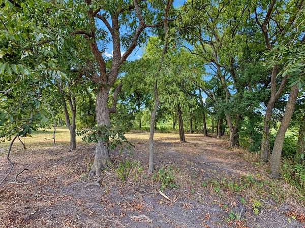 0.32 Acres of Residential Land for Sale in Honey Grove, Texas