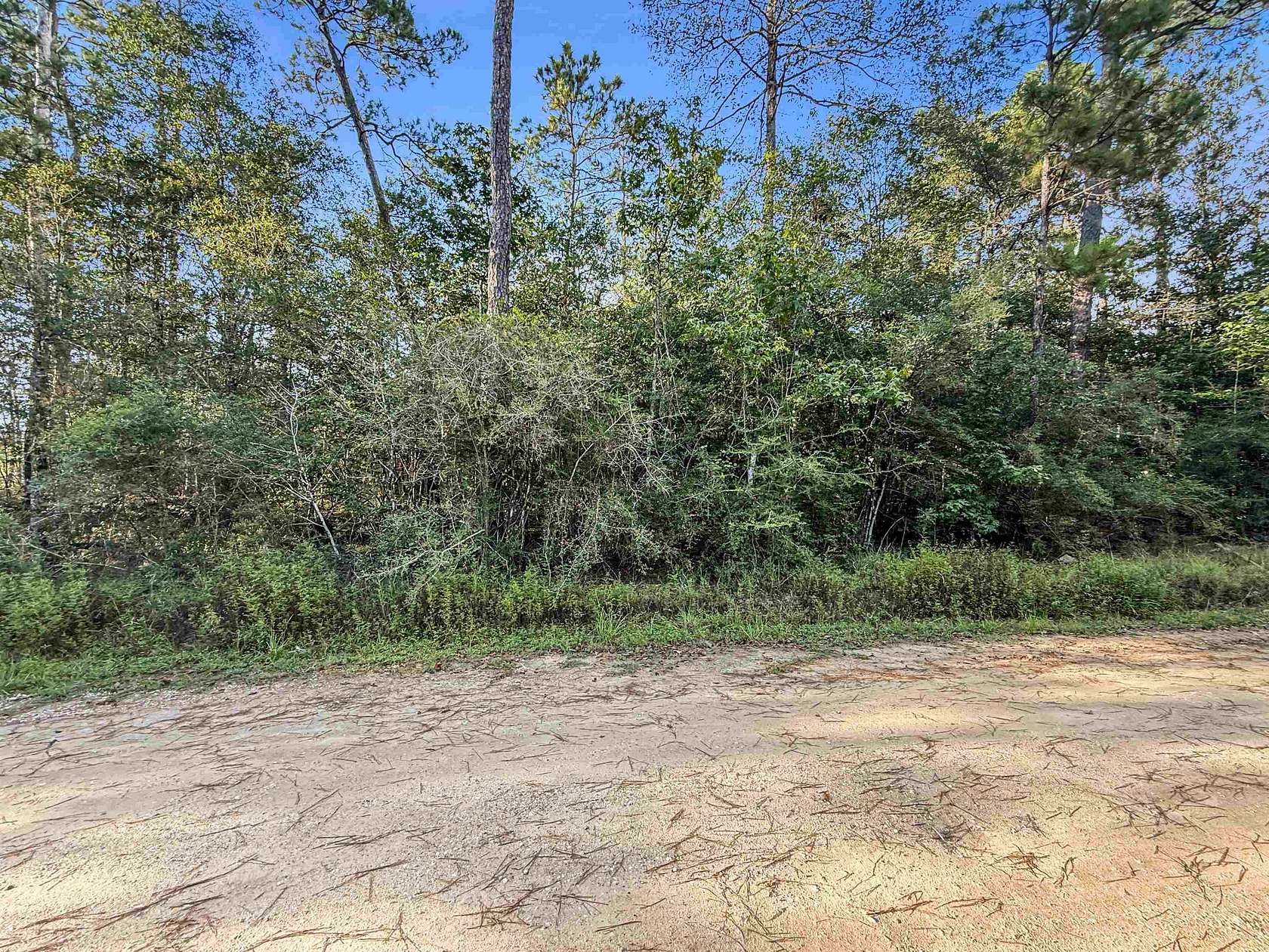1.63 Acres of Residential Land for Sale in Kirbyville, Texas