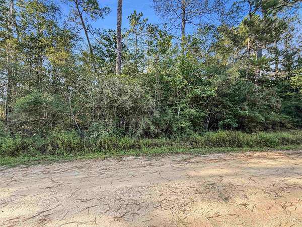 1.63 Acres of Residential Land for Sale in Kirbyville, Texas