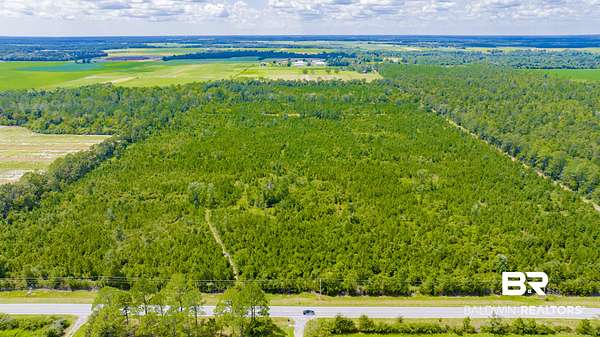 80 Acres of Land for Sale in Elberta, Alabama