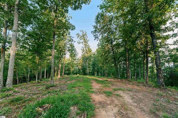 10 Acres of Land for Sale in Travelers Rest, South Carolina