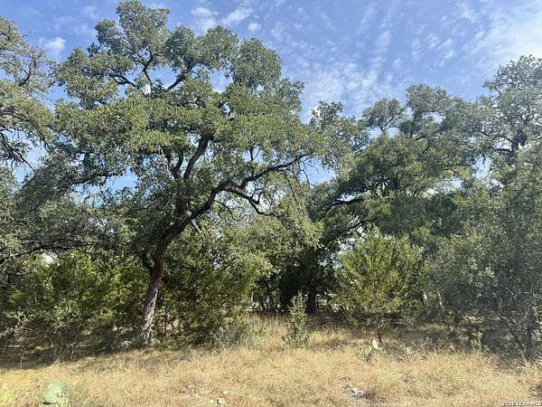0.4 Acres of Residential Land for Sale in Blanco, Texas