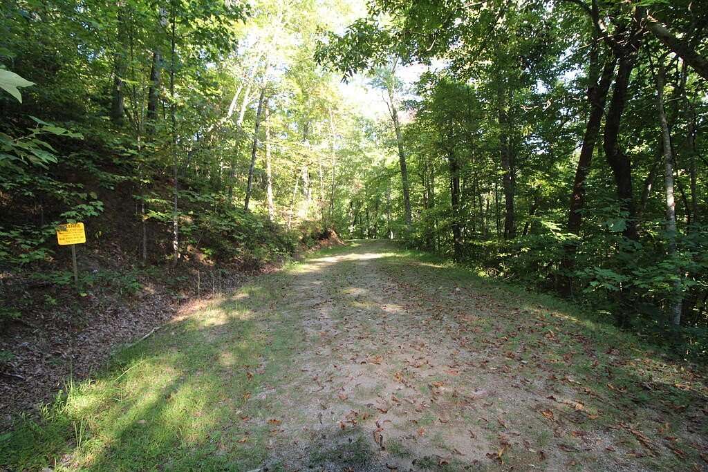 2.52 Acres of Residential Land for Sale in Hayesville, Georgia