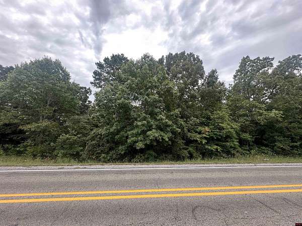0.24 Acres of Residential Land for Sale in Lakeview, Arkansas