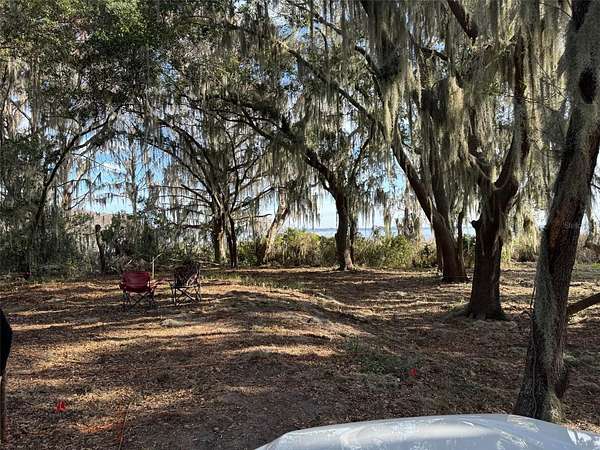 3.39 Acres of Residential Land for Sale in Leesburg, Florida
