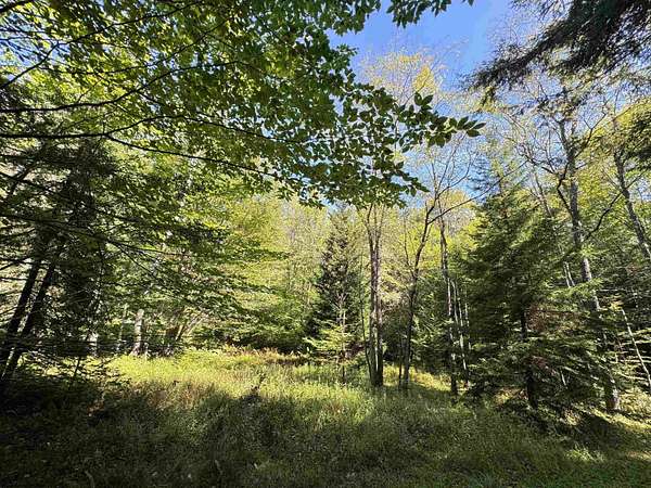 2.66 Acres of Residential Land for Sale in Davis, West Virginia