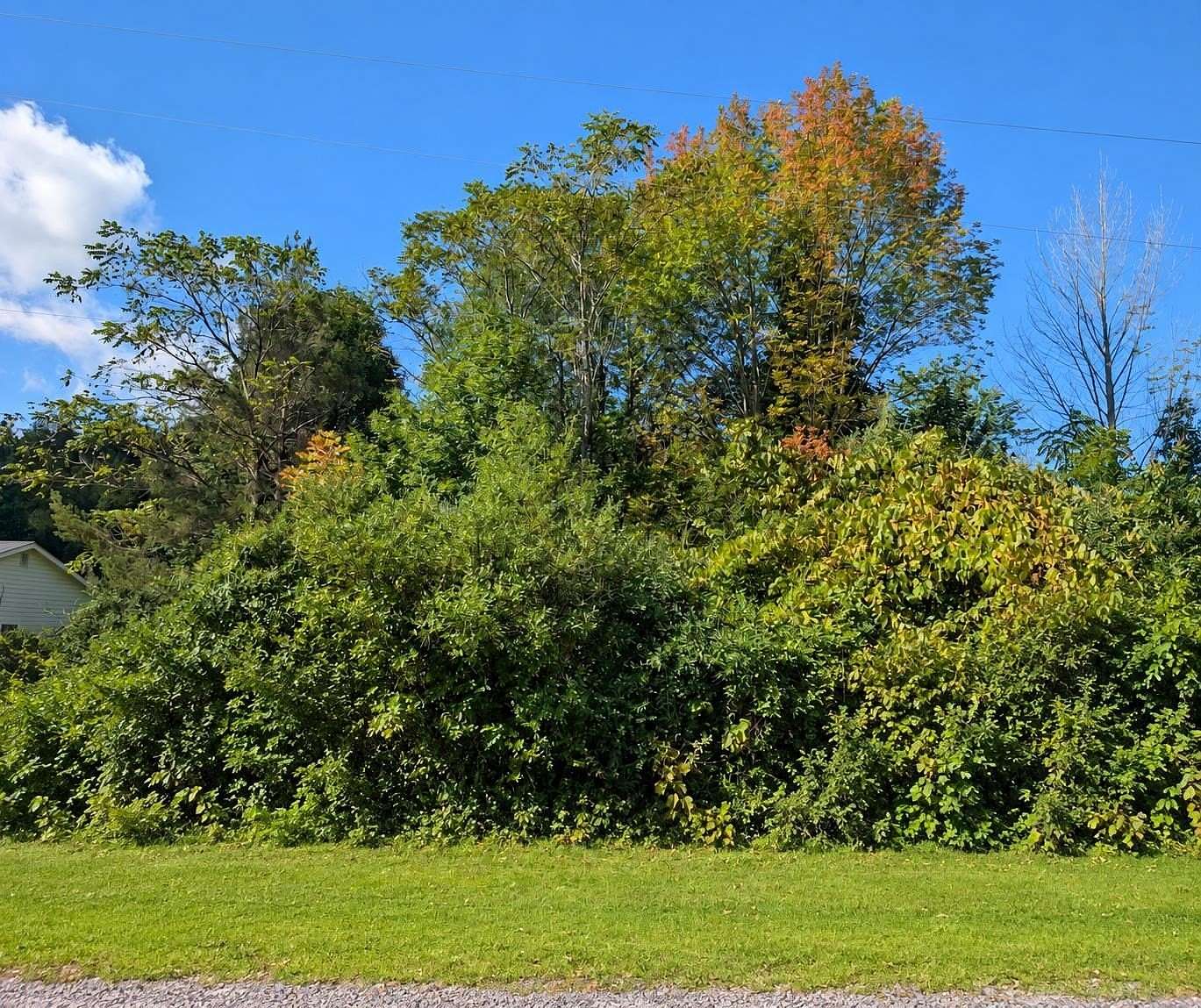 1.4 Acres of Residential Land for Sale in DeKalb Junction, New York
