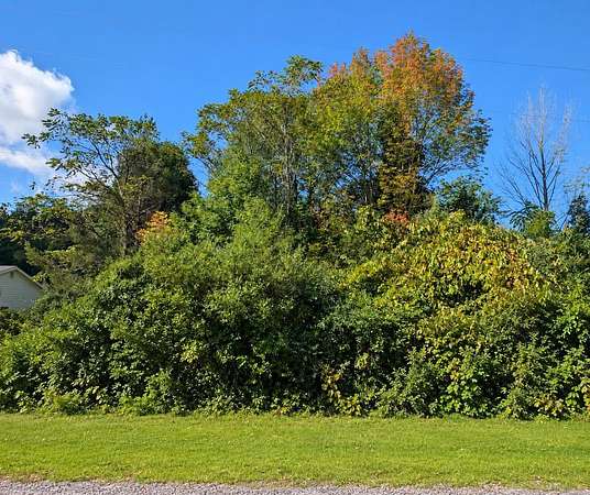 1.4 Acres of Residential Land for Sale in DeKalb Junction, New York
