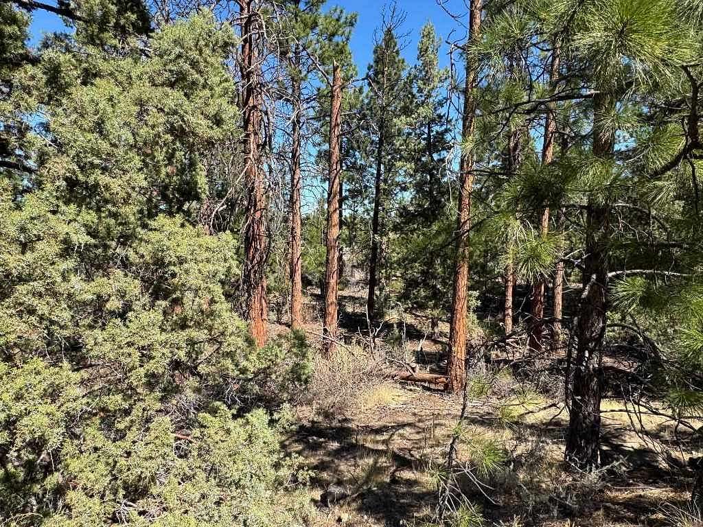 0.37 Acres of Land for Sale in Weed, California