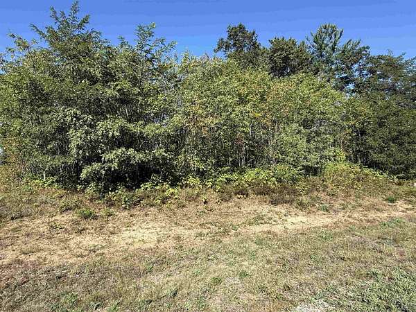 0.35 Acres of Residential Land for Sale in Stevens Point, Wisconsin