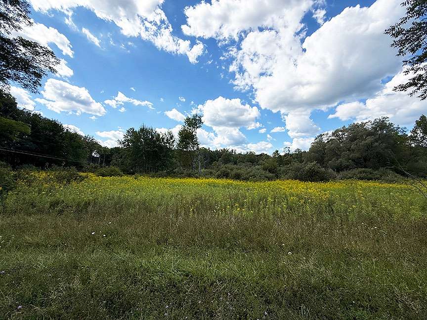 8.64 Acres of Residential Land for Sale in Cooperstown, New York