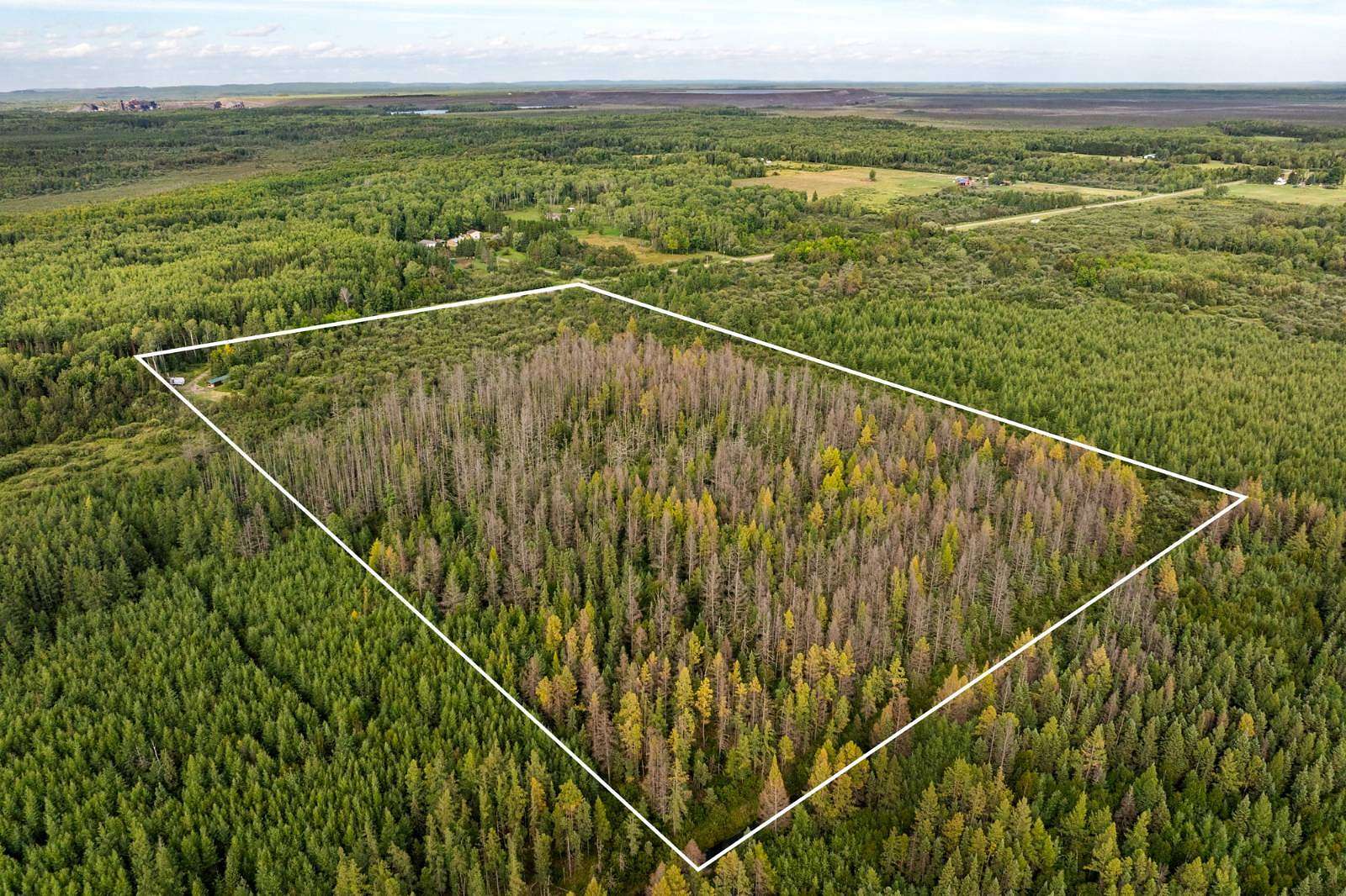 20 Acres of Recreational Land for Sale in Zim, Minnesota