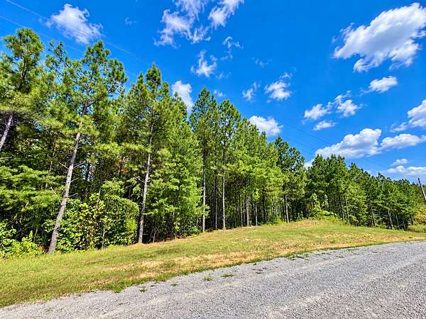 7 Acres of Land for Sale in Linden, Tennessee