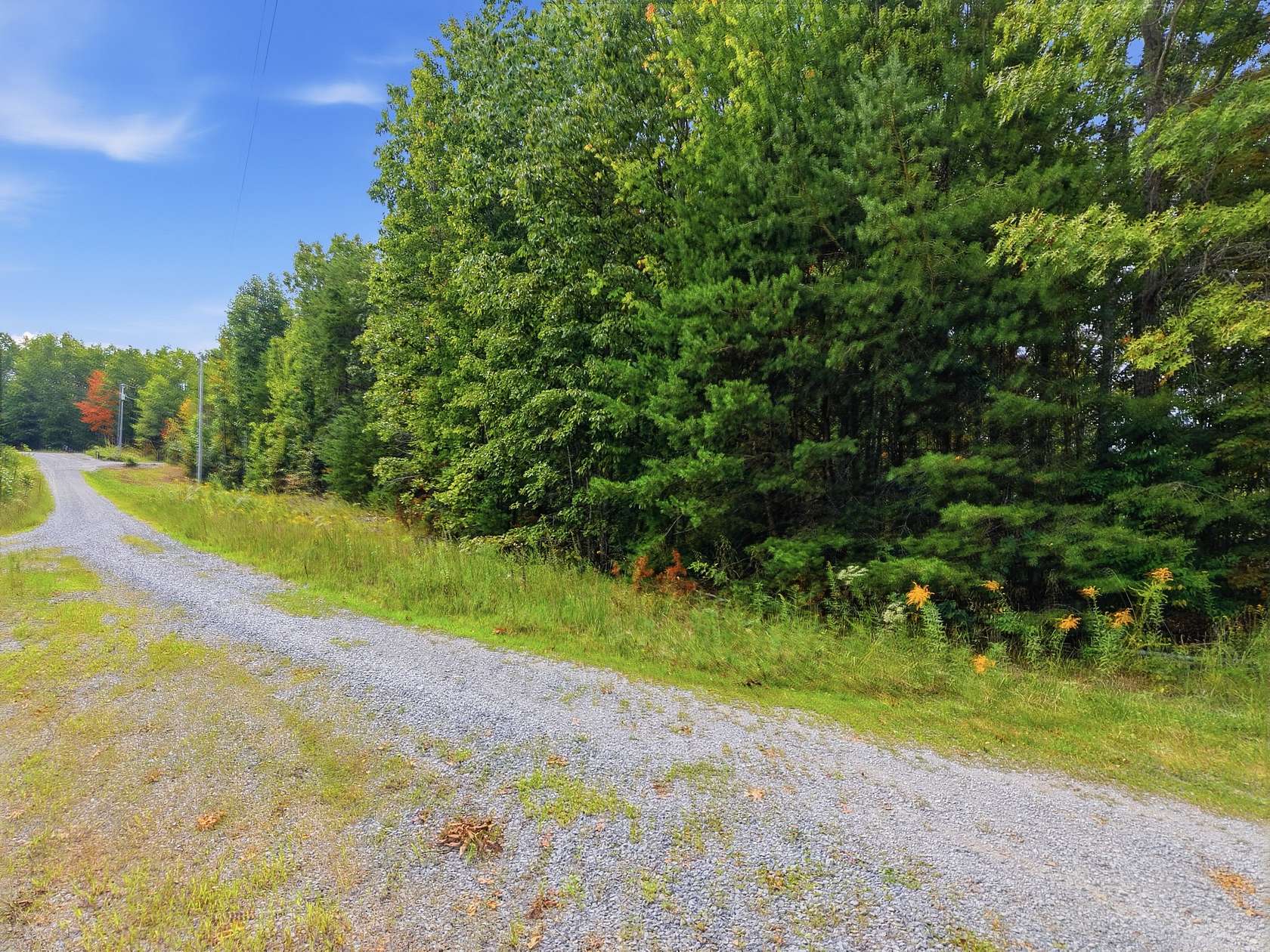 10.8 Acres of Land for Sale in Wilder, Tennessee