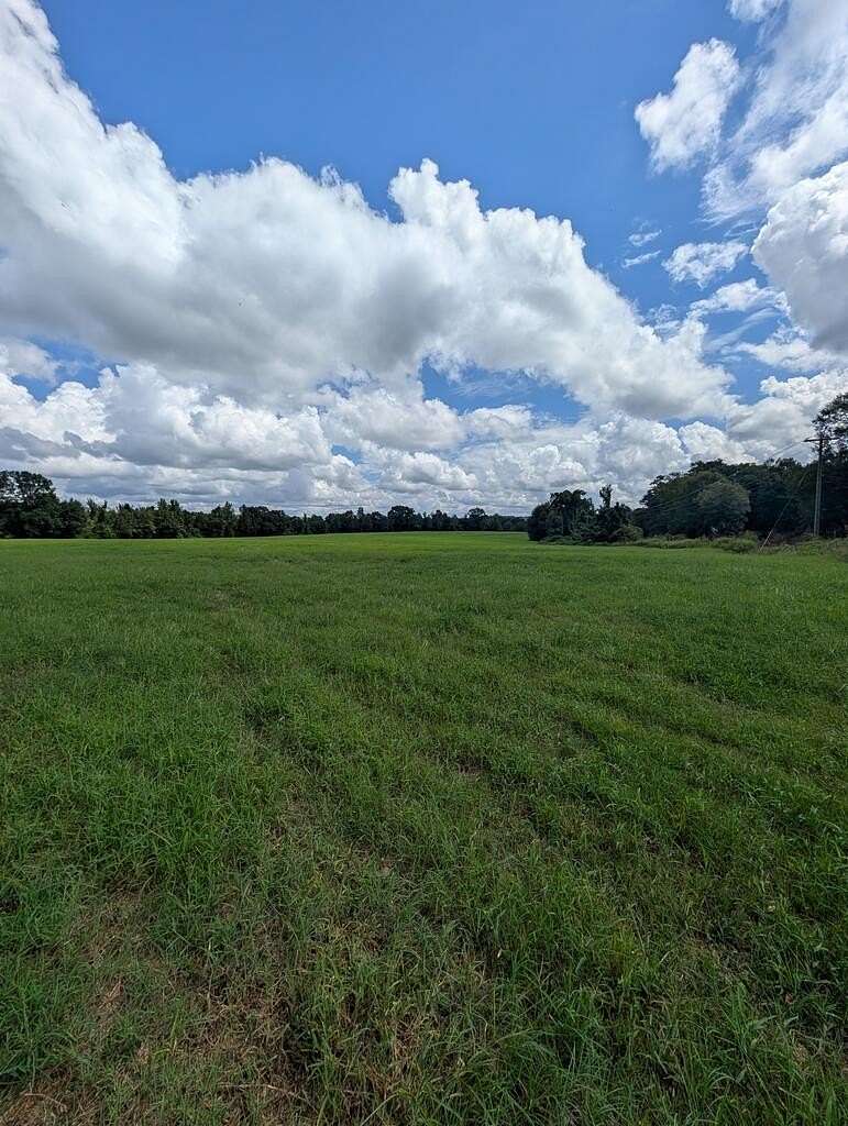 40 Acres of Land for Sale in Ariton, Alabama