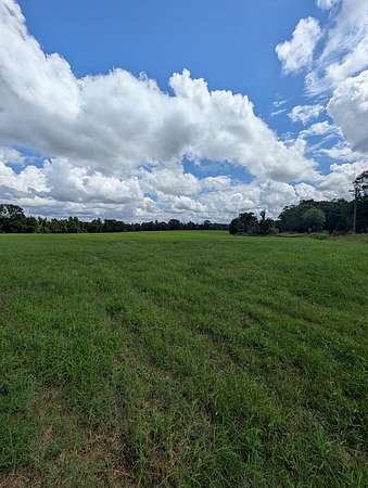 40 Acres of Land for Sale in Ariton, Alabama