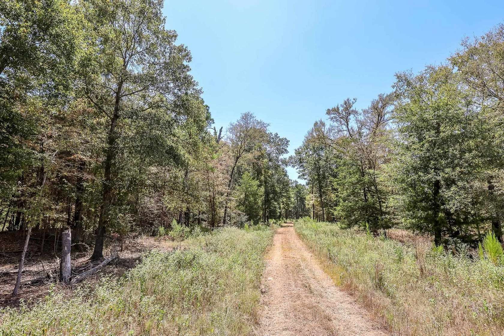 71.5 Acres of Recreational Land for Sale in Palestine, Texas