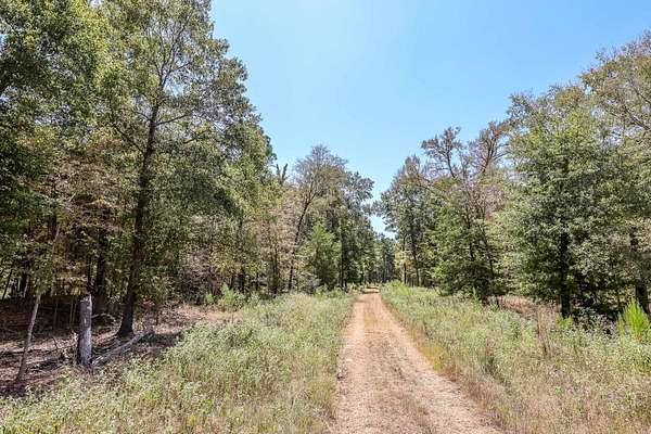 71.5 Acres of Recreational Land for Sale in Palestine, Texas