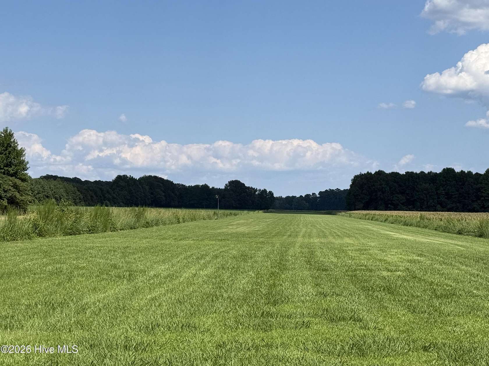 34.3 Acres of Land for Sale in Aurora, North Carolina