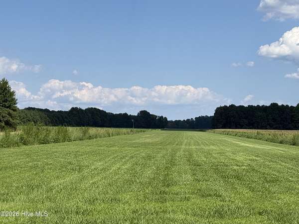 34.3 Acres of Land for Sale in Aurora, North Carolina