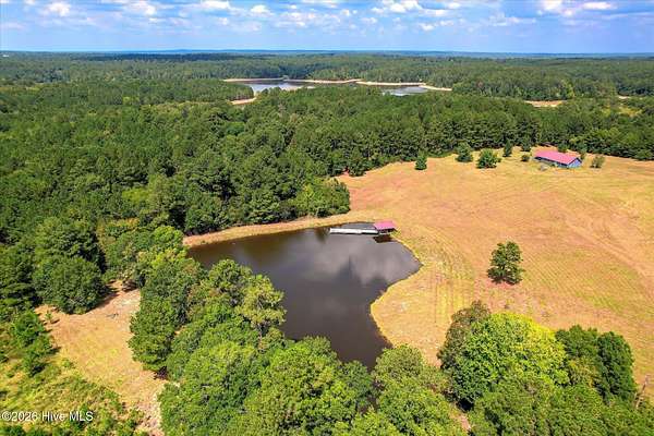 49.8 Acres of Mixed-Use Land for Sale in Lincolnton, Georgia