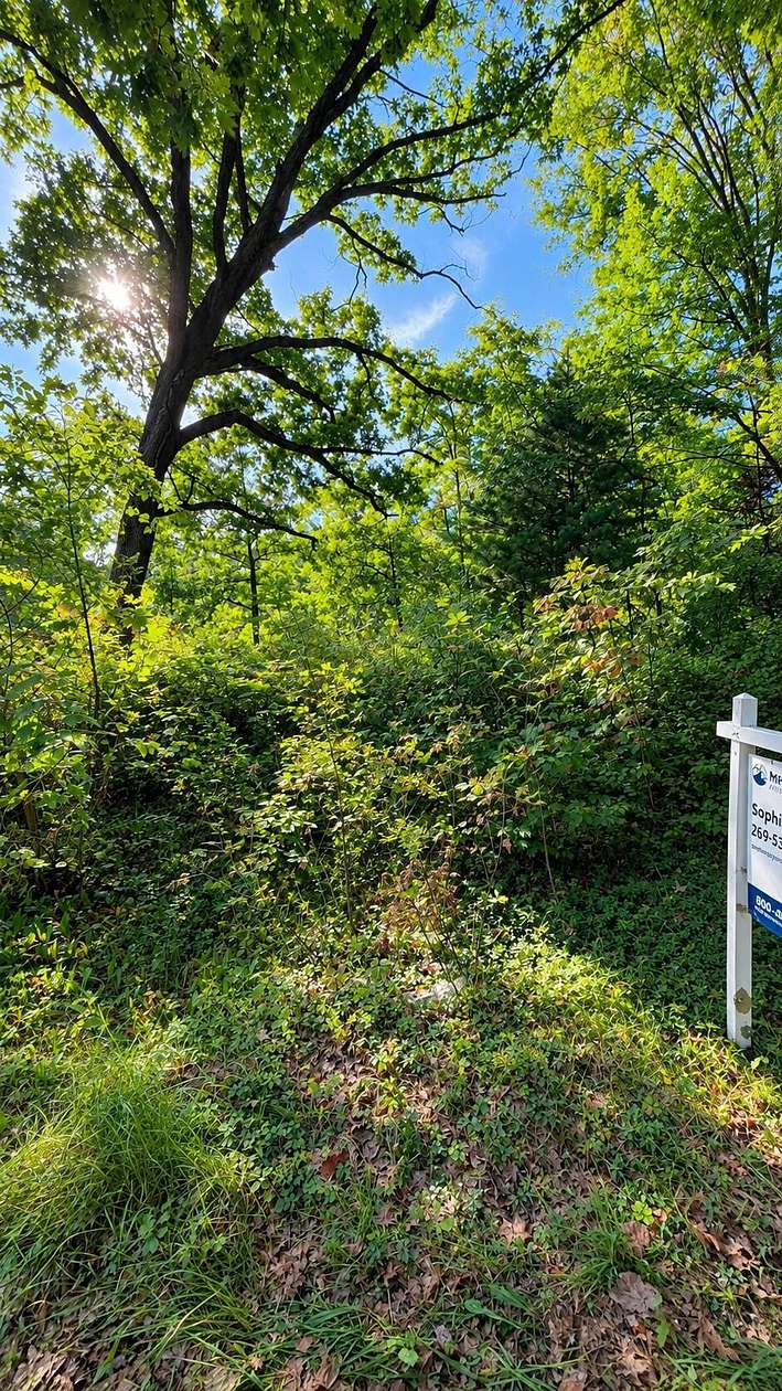 2.12 Acres of Land for Sale in Grand Junction, Michigan