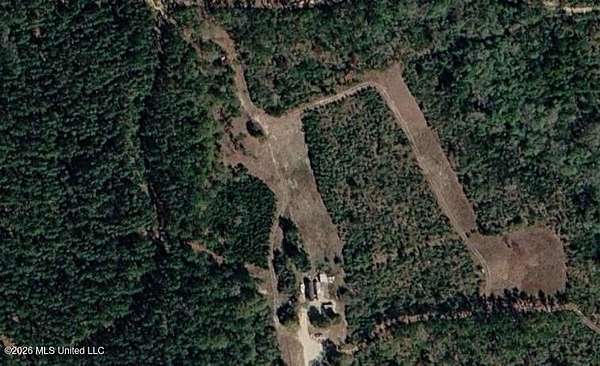 26.6 Acres of Recreational & Residential Land for Sale in Leakesville, Mississippi