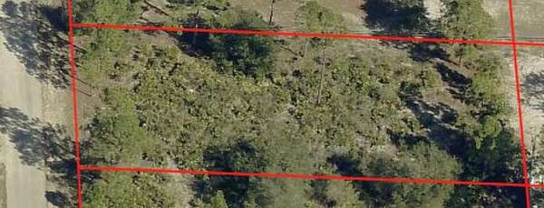 0.5 Acres of Residential Land for Sale in Lehigh Acres, Florida