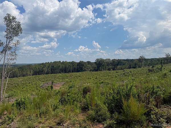 77 Acres of Recreational & Residential Land for Sale in Plantersville, Alabama