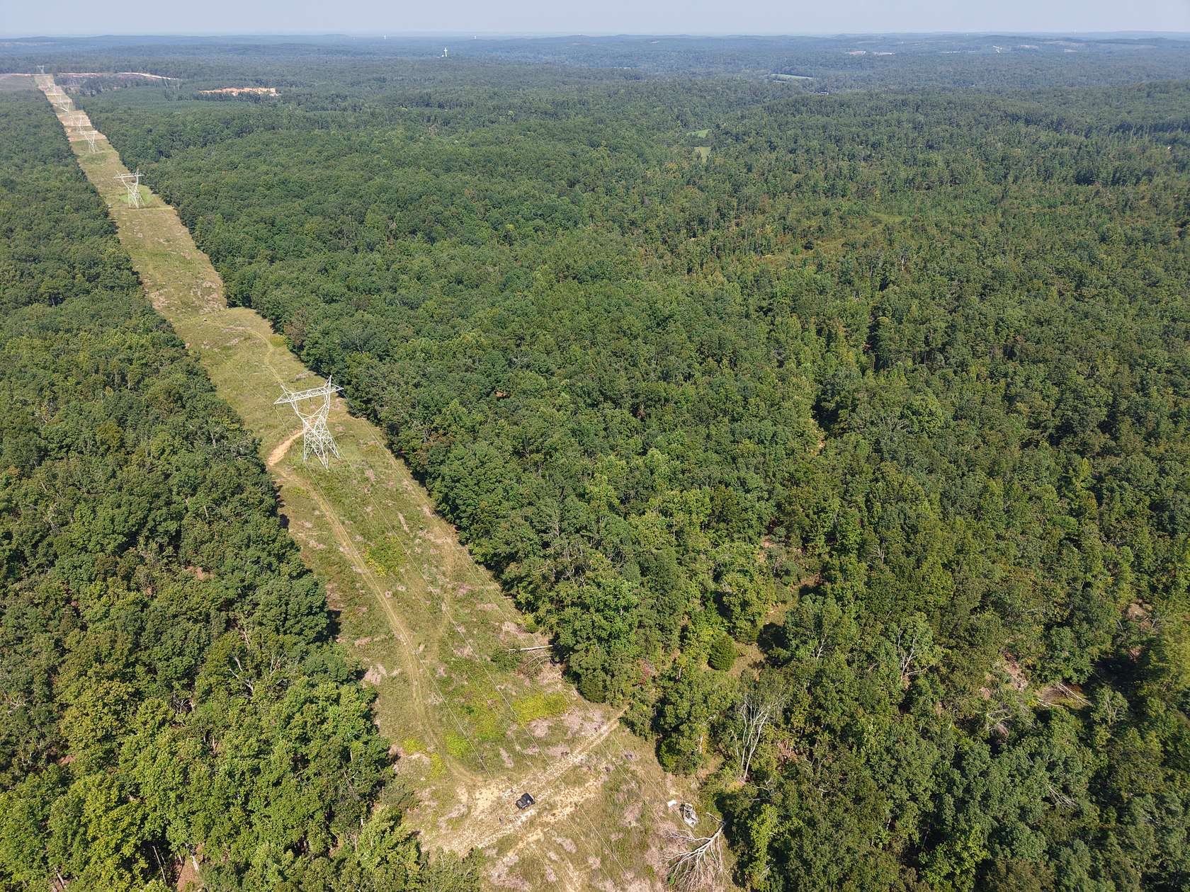 29.2 Acres of Land for Sale in Savannah, Tennessee