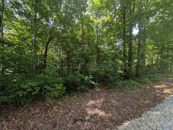 1 Acre of Residential Land for Sale in Gurley, Alabama