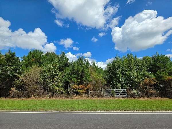 32.9 Acres of Recreational & Residential Land for Sale in La Fayette, Alabama