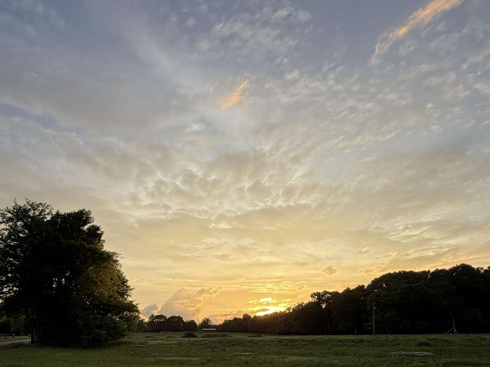6.6 Acres of Residential Land for Sale in Rogersville, Alabama