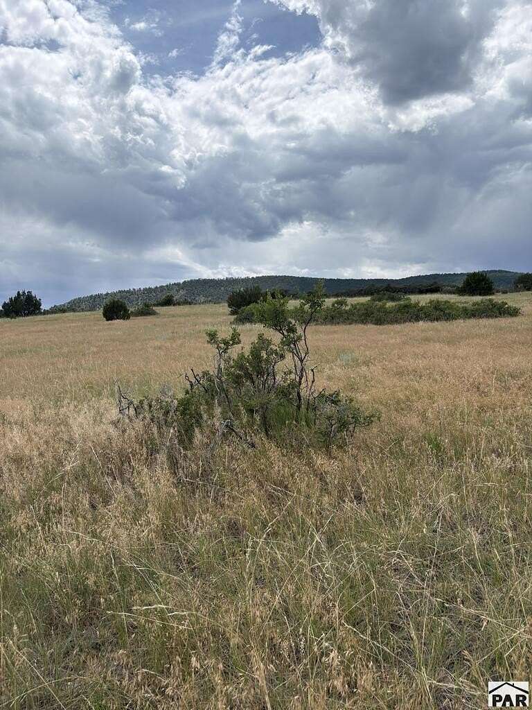 38.7 Acres of Recreational & Residential Land for Sale in Rye, Colorado