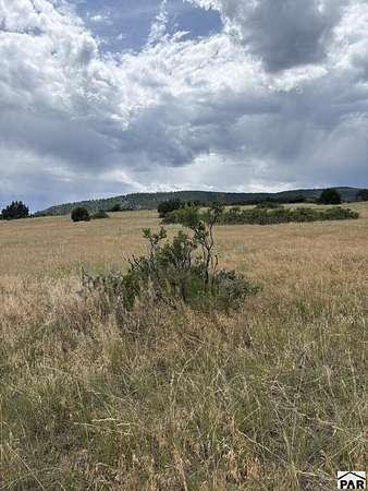 38.7 Acres of Recreational & Residential Land for Sale in Rye, Colorado