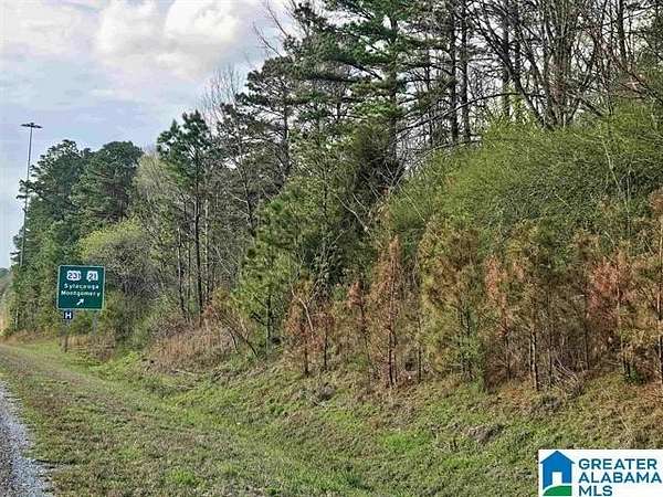 40 Acres of Land for Sale in Sylacauga, Alabama
