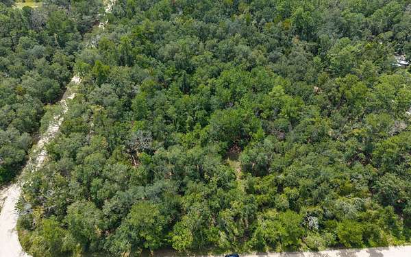 4 Acres of Residential Land for Sale in McAlpin, Florida